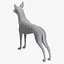 Pharaoh Hound Base Mesh