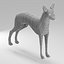 Pharaoh Hound Base Mesh