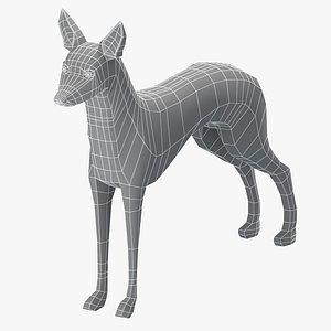 3D model base mesh pharaoh hound
