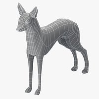 Pharaoh Hound Base Mesh