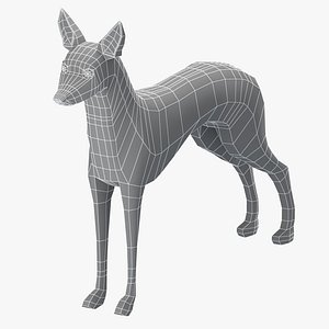 Pharaoh Hound Base Mesh