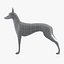Pharaoh Hound Base Mesh