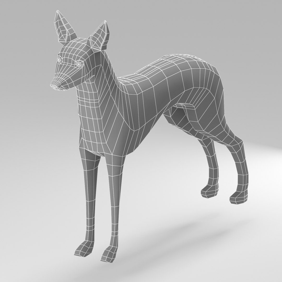 3D model base mesh pharaoh hound https://p.turbosquid.com/ts-thumb/sl/9k3fGs/iBhwpPyv/pharaoh05/jpg/1495538681/1920x1080/fit_q87/f6a05b6568f257cbf3818fd6f5ce3ebd4382f063/pharaoh05.jpg