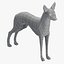 Pharaoh Hound Base Mesh