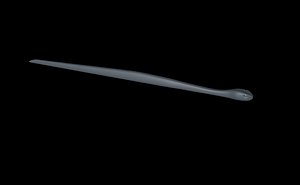 reptil snake 3D