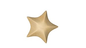 starfish seabedtrip 3D model