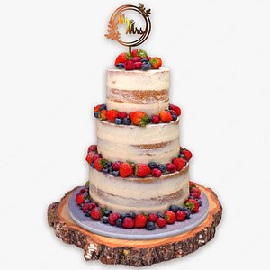 Semi Naked Berry Wedding Cake on Wooden Slice 3D model