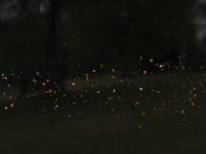 Leaves+Wind Animated