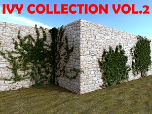 ivy plant 3d model