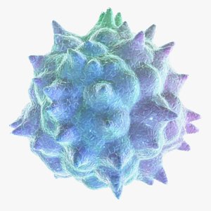Virus Model and Animation