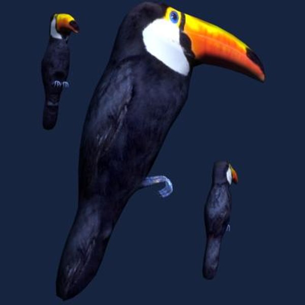 3ds bird