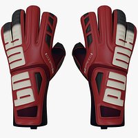 Puma evo SPEED GoalKeeper Glove