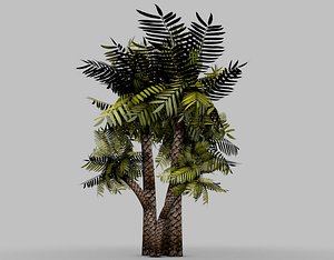 palm tree 3d 3ds