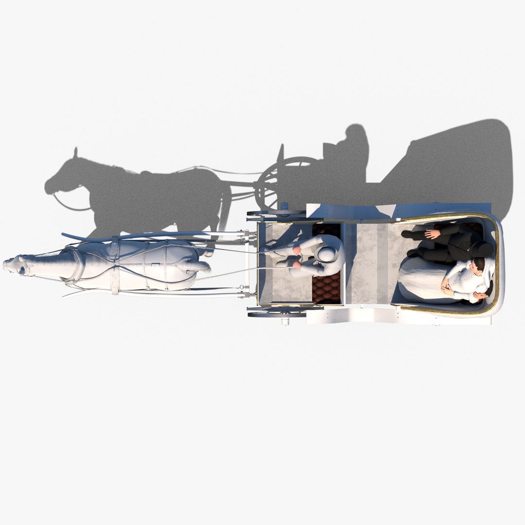 3D wedding carriage model https://p.turbosquid.com/ts-thumb/sm/ubSisr/LnRTNPjn/weddingcoach_0004/jpg/1561409921/1920x1080/fit_q87/297d91df6163a65659547a96a8d2f9be43897179/weddingcoach_0004.jpg