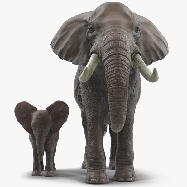 3D elephants rigged model
