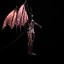 Succubus