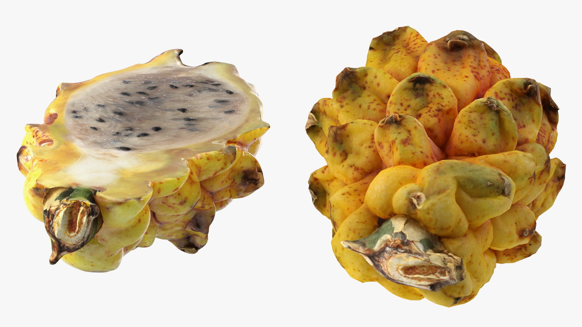 Dragon Fruit Whole and Half Yellow 3D model https://p.turbosquid.com/ts-thumb/sn/MTd6mC/9E/dragon_fruit_whole_and_half_yellow_010/jpg/1742293523/1920x1080/fit_q87/a97198b0194c3f3980b7e57999cafb142850ba39/dragon_fruit_whole_and_half_yellow_010.jpg