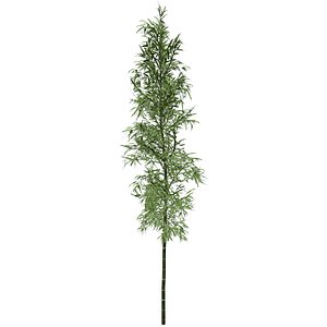 Bamboo Plant Collection 3D model
