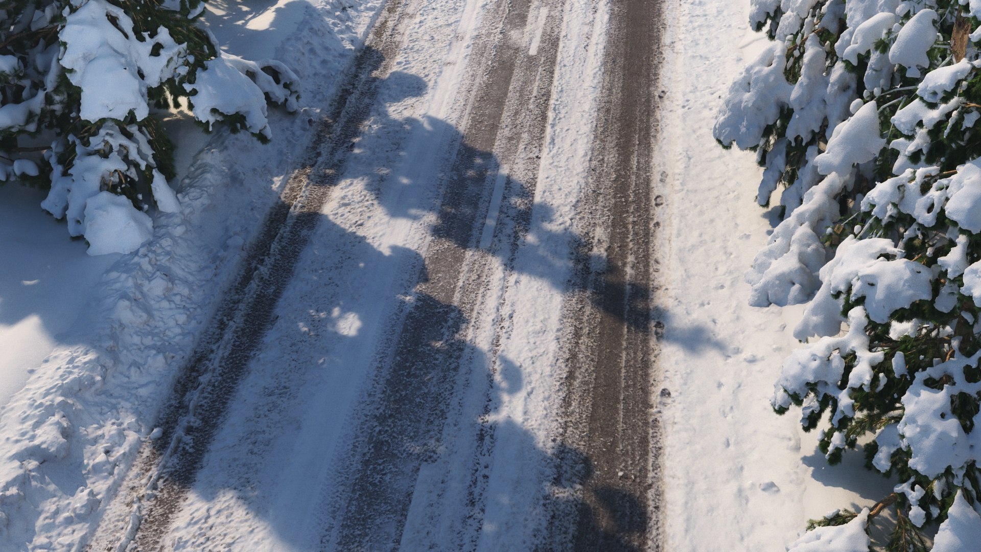 3D Forest road https://p.turbosquid.com/ts-thumb/sn/cGWoNO/vT/forestroad7/jpg/1629279997/1920x1080/fit_q87/0d59549490c8d91b1a31f991c02d631f43be250e/forestroad7.jpg