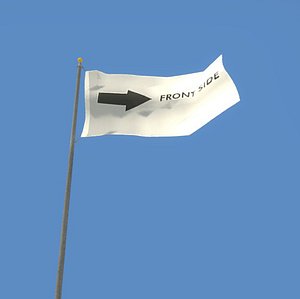 Flagpole with Flag Animated Loop Textured and Collution Model
