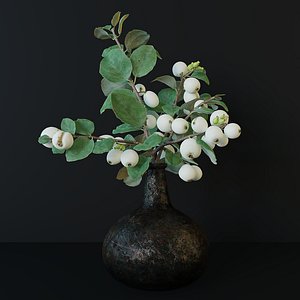 Snowberry branch in vase