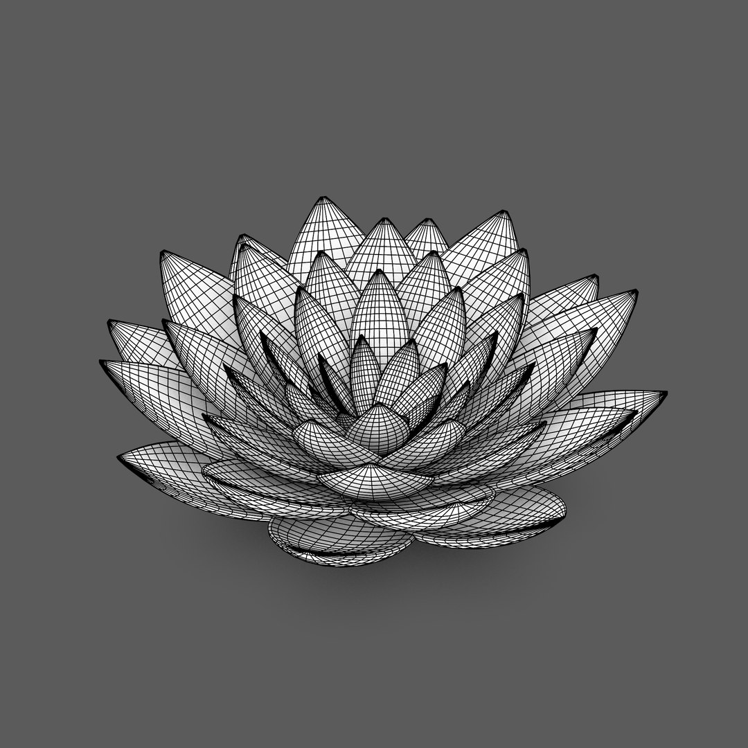 3d crystal flowers https://p.turbosquid.com/ts-thumb/sn/klcjRk/ABTyFKzK/lotus_wire/jpg/1473438124/1920x1080/fit_q87/27c8abca8ef4e5d1f7db5112b2baee165f9c92cc/lotus_wire.jpg
