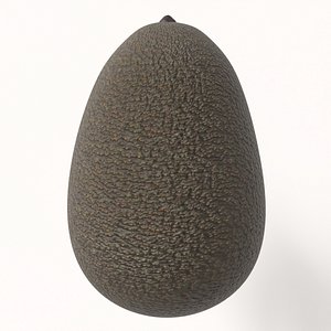 3D Realistic Avocado Set