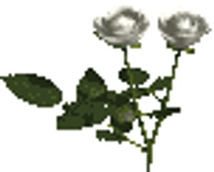3d flower