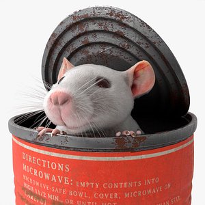Rusty Food Can with Small Rat For Blender