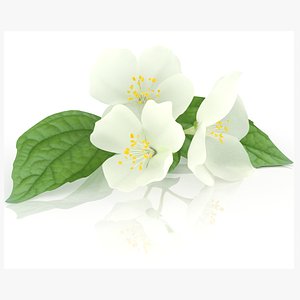 3D jasmine flower bouquet tea