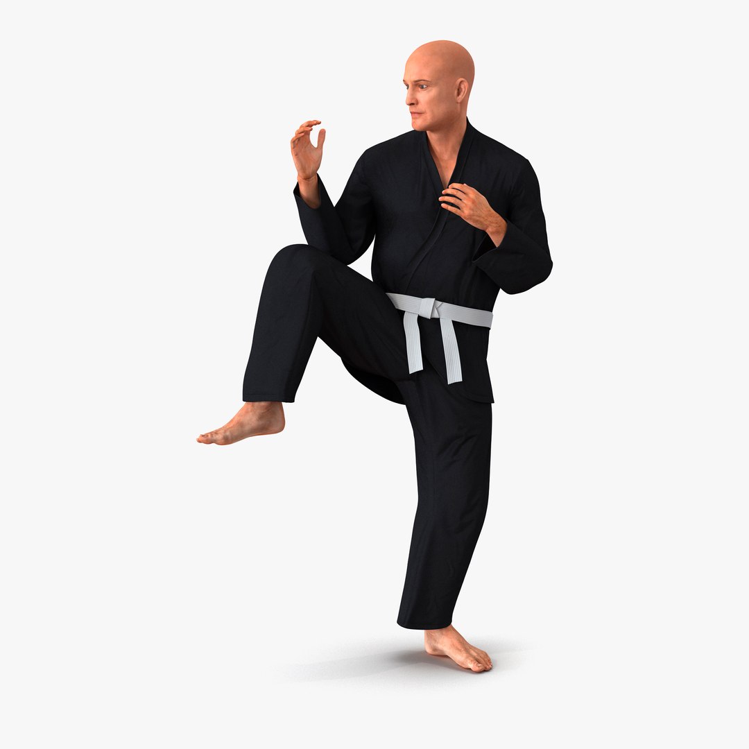 Karate Fighter Pose 3 Black Suit 3D model preview