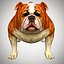 Bulldog Low Poly Rigged