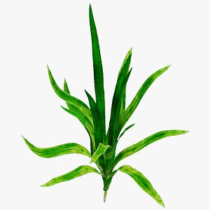 Grass Green LowPoly Grace 3D model Low-poly 3D model 3D model