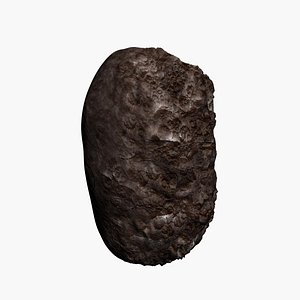 Asteroid 3D model