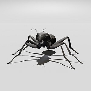 Black Ant Insect 3D model