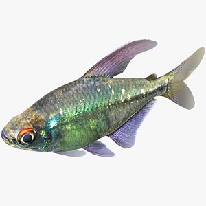 3D diamond tetra rigged