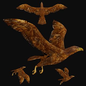 fully rigged low poly Golden eagle 3D