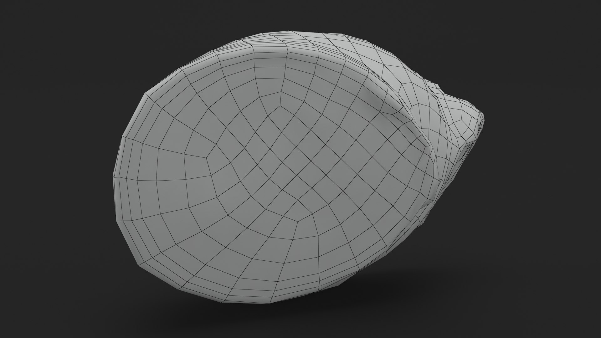 Turmeric Slice v2 3D model - TurboSquid 1863680