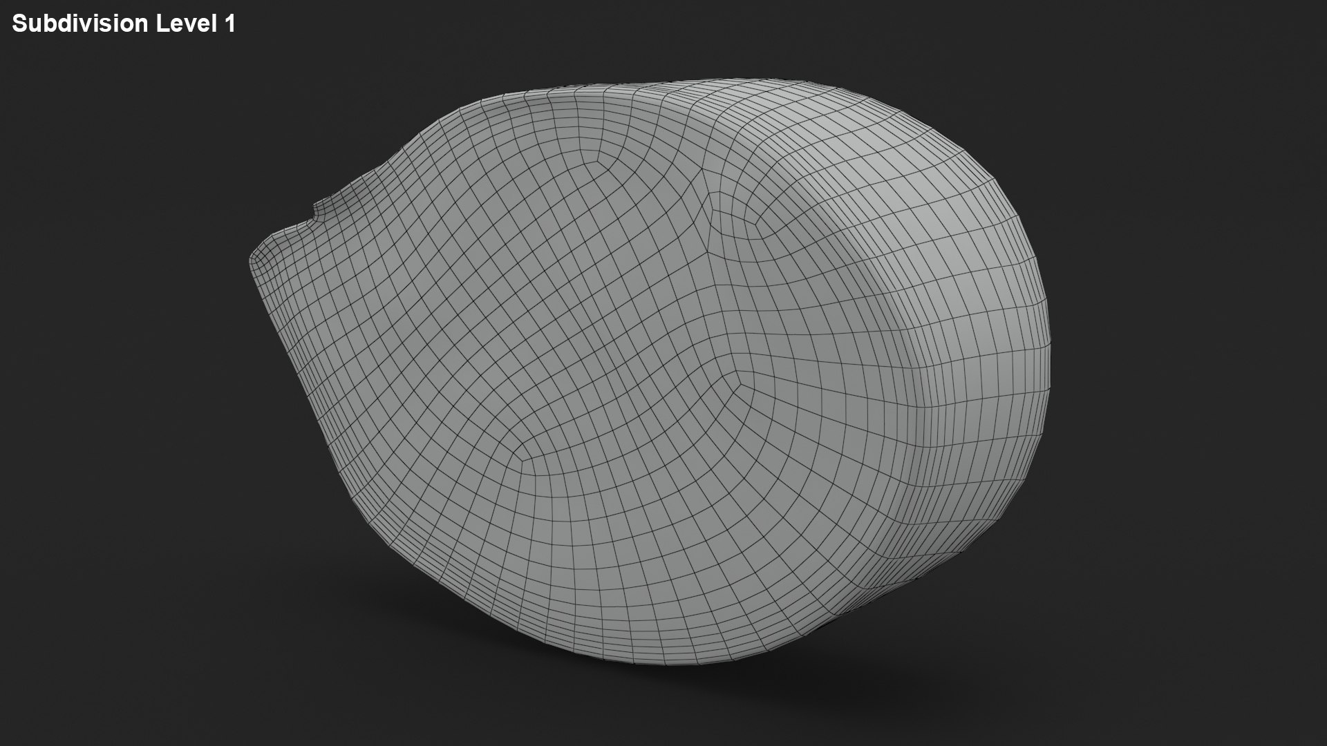 Turmeric Slice v2 3D model - TurboSquid 1863680