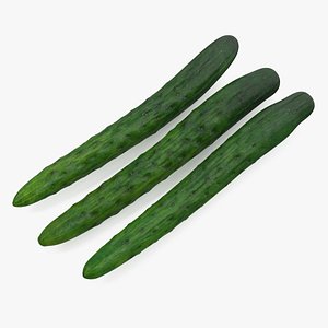 3D Japanese Cucumbers