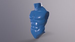 Male Torso Base Mesh 3D model