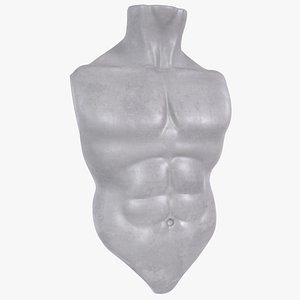 Male Torso Base Mesh 3D model