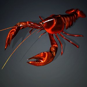Lobster-A1