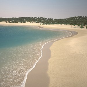 Beach Shoreline