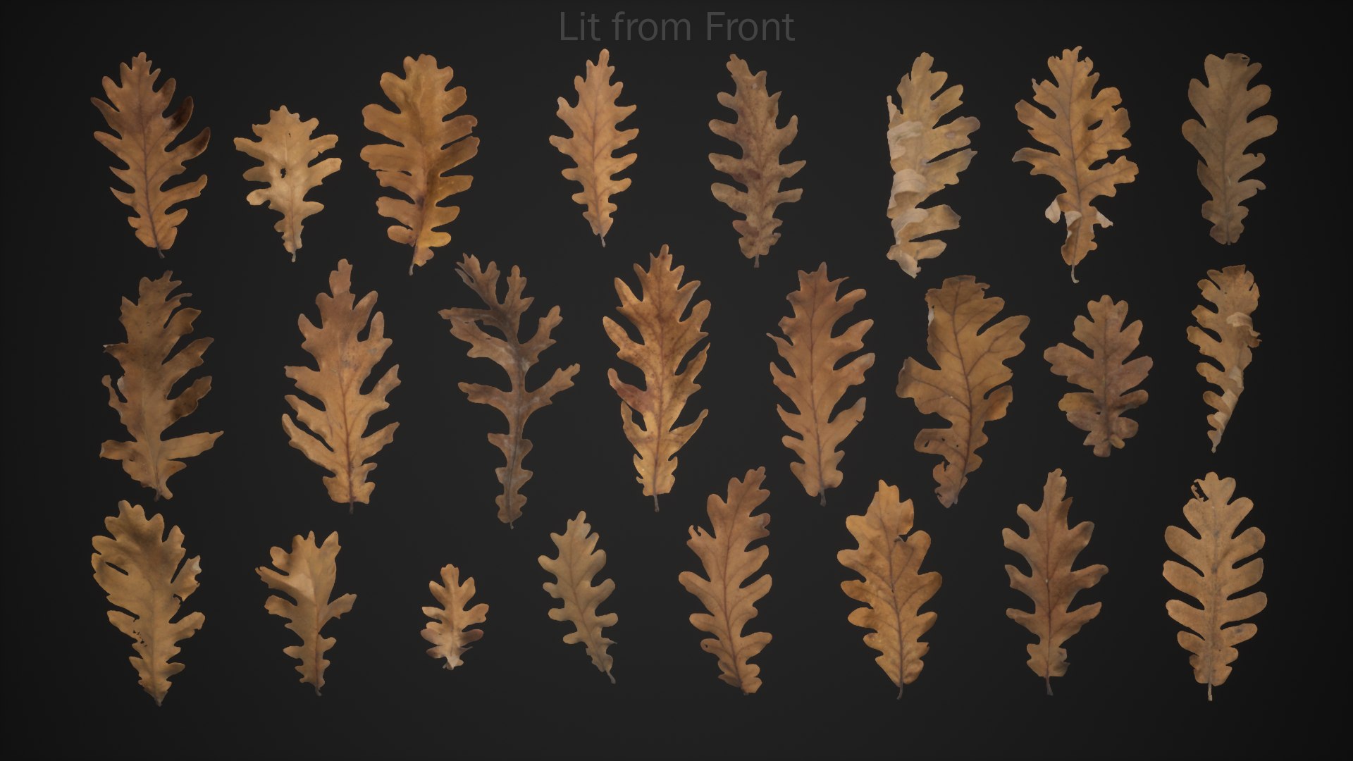 ue4 scan 3D model https://p.turbosquid.com/ts-thumb/sp/2n3b5C/QJ/highresscreenshot00050_frontlit/png/1605843793/1920x1080/fit_q87/be1b79fd831a349d95893f6a7a403da293b92dda/highresscreenshot00050_frontlit.jpg
