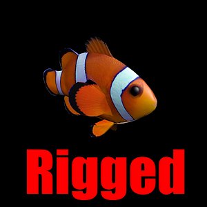 3d model clownfish rigged