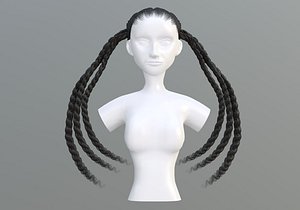 Braids Long Hairstyle 3D