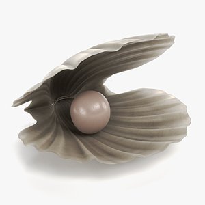 Clam with Pearl 3