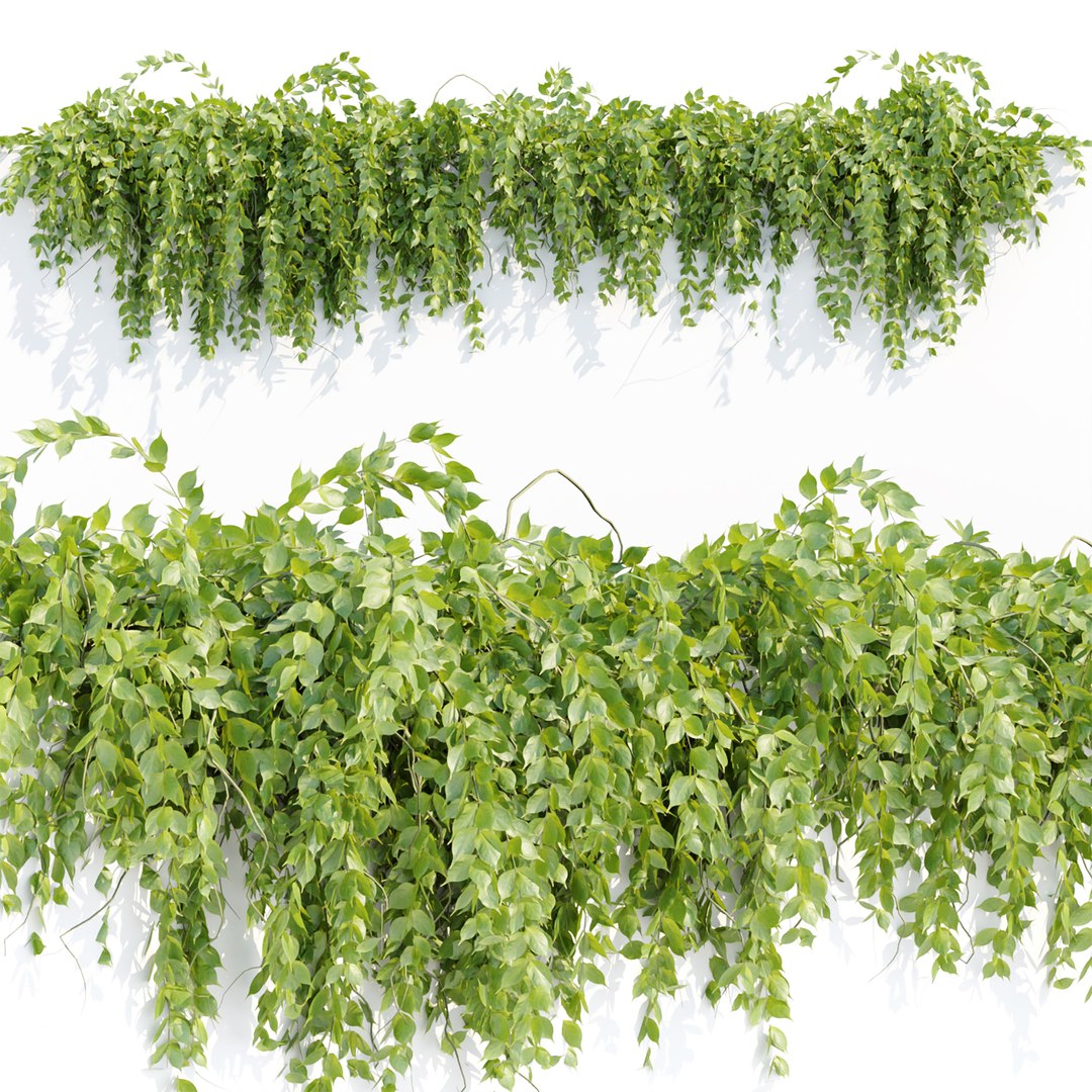 3D model Hanging wall plants vol 127 - TurboSquid 1980435