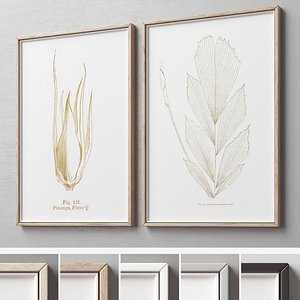 Picture Frames Set-512